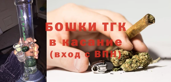 дурь Пересвет