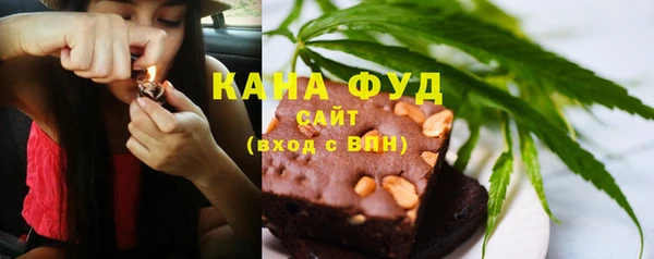 гашик Пестово