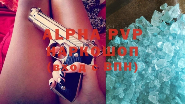 гашик Пестово