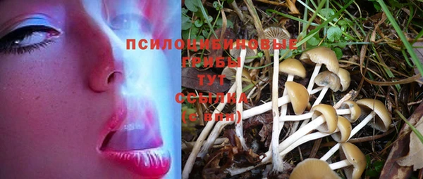 мяу мяу кристалл Осташков