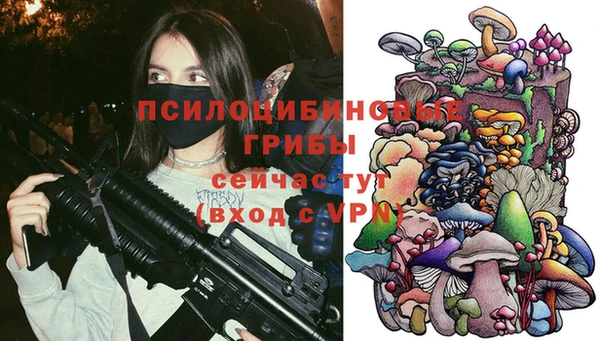 СК Переславль-Залесский