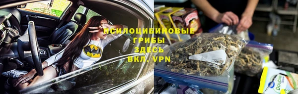 гашик Пестово