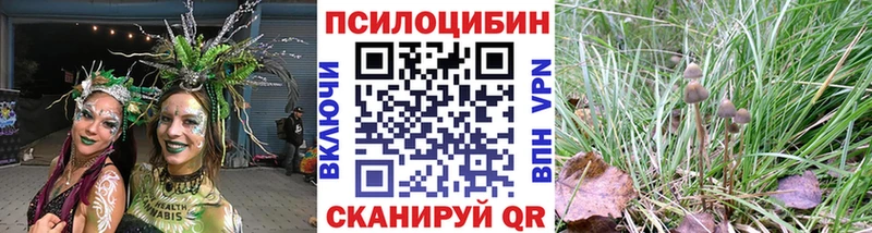 Галлюциногенные грибы GOLDEN TEACHER  Боготол 